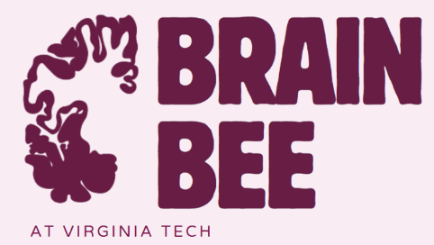 Brain Bee logo