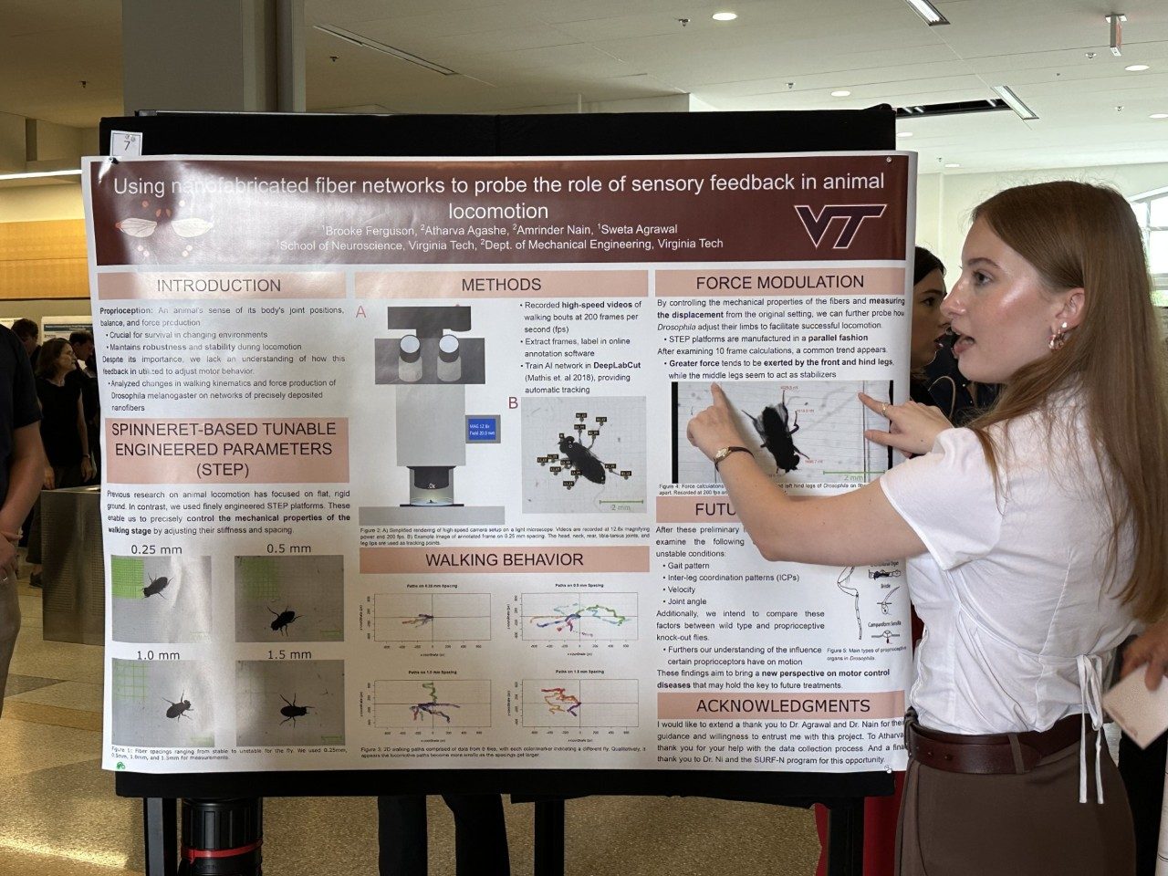 Brooke Ferguson Using Nanofabricated Fiber Networks to Probe the Role of Sensory Feedback in Animal Locomotion