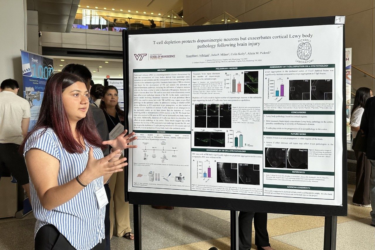 Shambhavi Adhikari T-Cell Depletion Protects Dopaminergic Neurons but Exacerbates Cortical Lewy Body Pathology Following Brain Injury