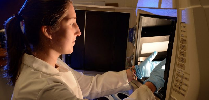 Students working in Lab