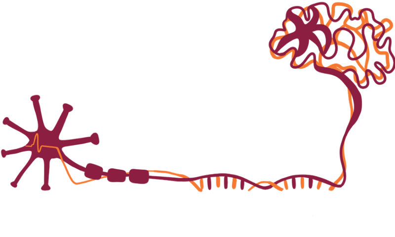 npga logo, Neuroscience postdoctoral and graduate student association 