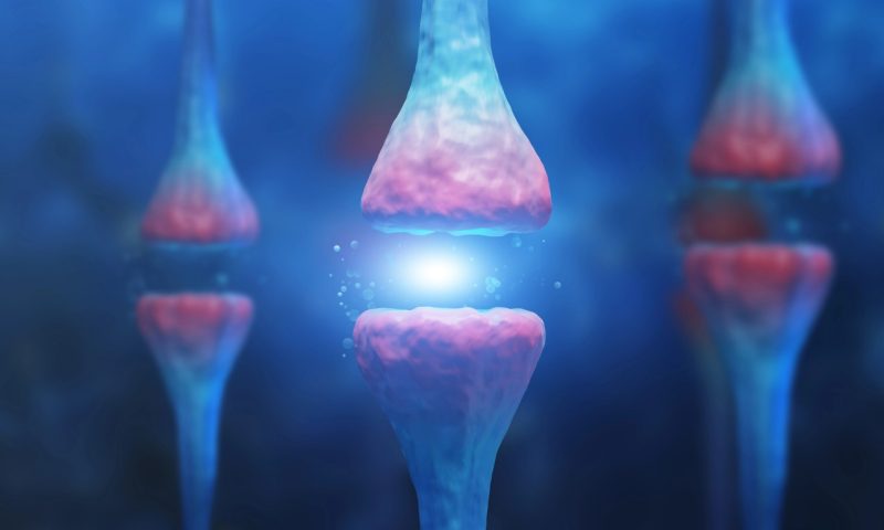 Three neurons close up Neuroscience