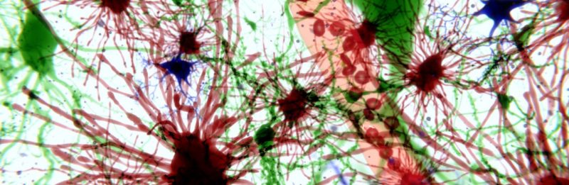 Abstract human brain. Artificial intelligence technology. Science background photo of neuroscience