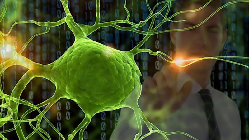 Neuron