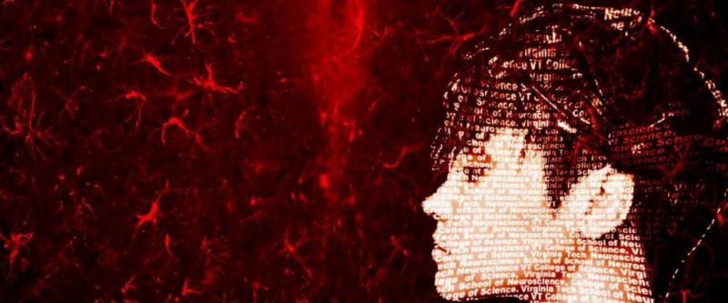 Summer Undergraduate Research Fellowship in the School of Neuroscience