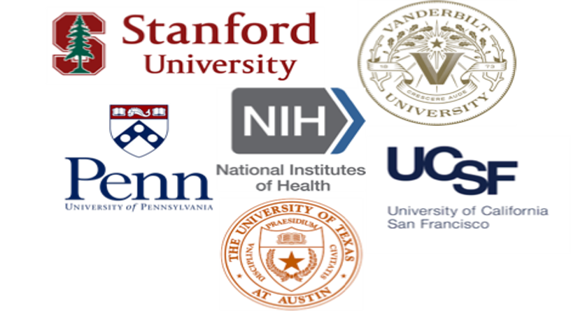 Many SURF-N fellows have successfully gained admission to entered highly competitive undergraduate and graduate research programs.